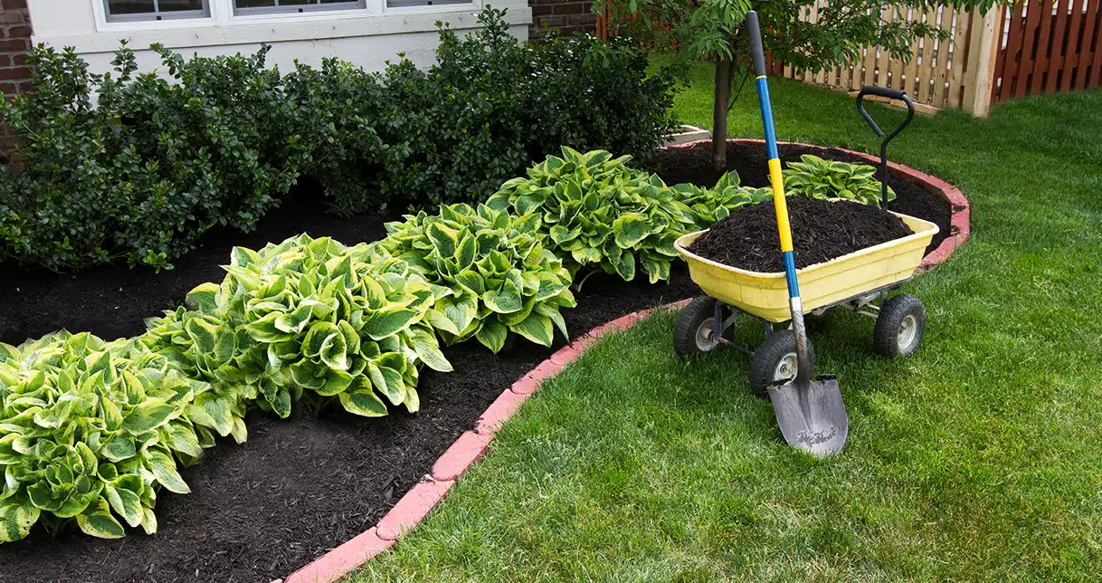 Seasonal Handyman Service Flower Bed Maintenance